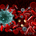 Over 24 million Americans that now have an autoimmune disease...
